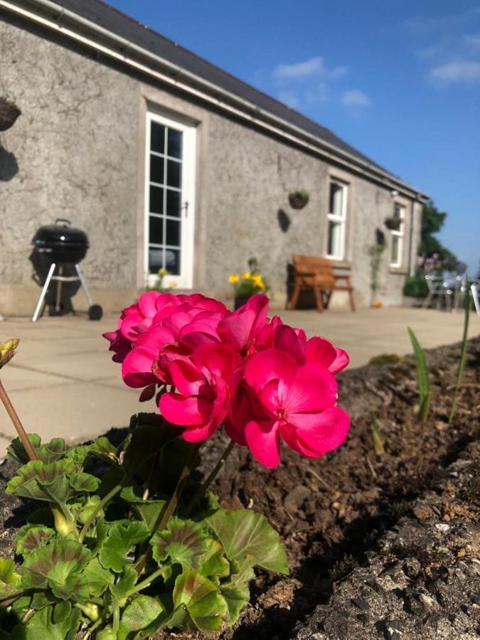 Ballyconnelly Cottages, Galgorm Area Cullybackey ภายนอก รูปภาพ
